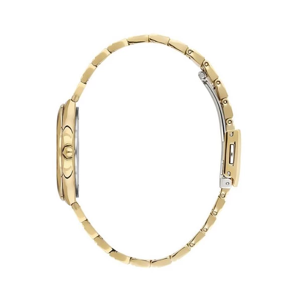 Daniel Klein DK.1.13596-2 Kadın Kol Saati - Resim 2