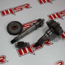 HONDA ALPHA ŞANZUMAN DİŞLİ SETİ WUYANG