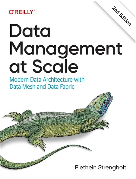 Data Management at Scale: Modern Data Architecture with Data Mesh and Data Fabric 2nd edition Piethein Strengholt ürün görseli