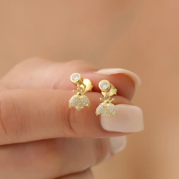 925 Ayar Gümüş Taşlı Uğurböceği Bayan Küpe - Resim 3