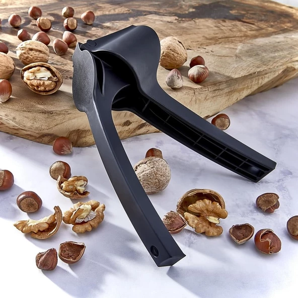 Ceviz ve Fındık Kıracağı - 2