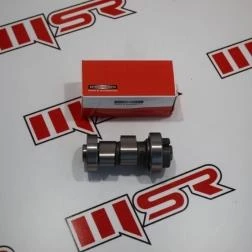 CRYPTON EKSANTRİK MİLİ R OEM