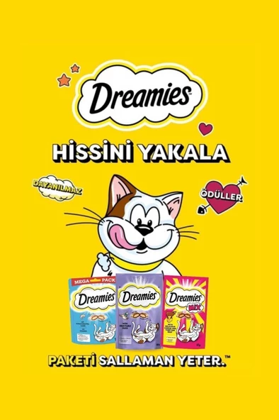 Dreamies Mix Somon Balıklı Ve Peynirli Kedi Ödülü 60 gr - 4