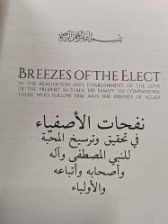 Breezes Of The Elect - 2