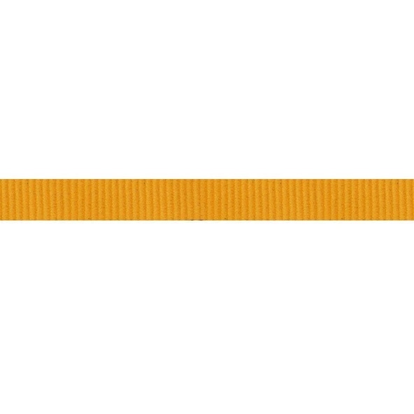 BEAL FLAT TAPE 18 MM X 100 M PERLON BANT - Resim 2