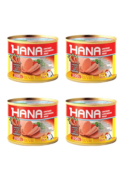 Hana Acılı Salam Konservesi 200 Gr X4 Adet ürün görseli