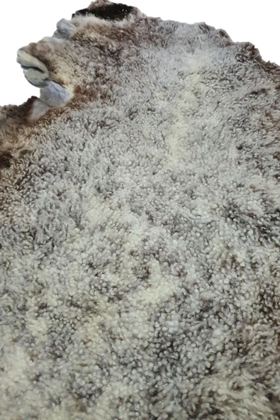 Art Deco Hakiki Deri Koyun Postu 62x55cm (034) Dana Inek Post Posteki Ev Dekorasyon - Resim 5