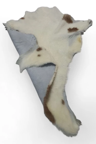 Art Deco Hakiki Deri Koyun Postu 60x62cm (022) Dana Inek Post Posteki Interior Design - 5