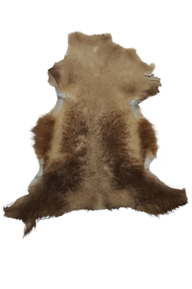 Art Deco '' Hakiki Gerçek Deri Postu 57x70cm (01) '' Posteki Ev Dekorasyon Fikirleri - 3