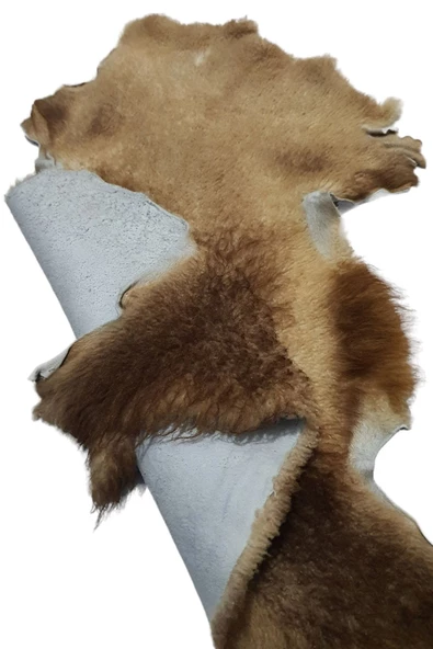 Art Deco '' Hakiki Gerçek Deri Postu 57x70cm (01) '' Posteki Ev Dekorasyon Fikirleri - 4