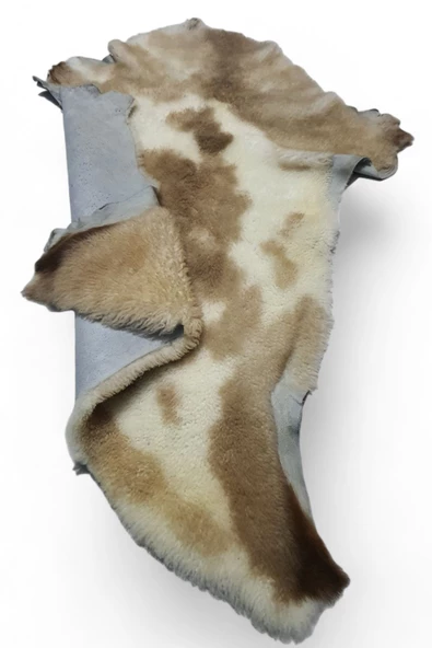 Hakiki Deri 57x70cm (01) Posteki Ev Dekorasyon Fikirleri - 5