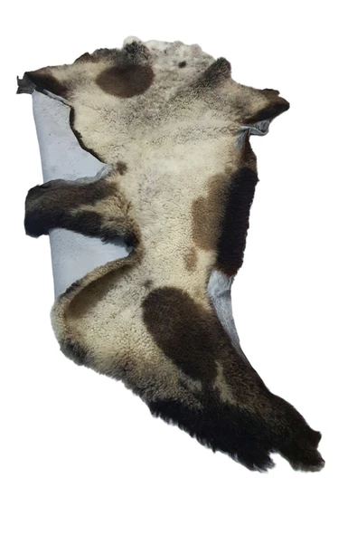 Art Deco '' Hakiki Gerçek Deri Koyun Postu 57x70cm (01) '' Dana İnek Posteki Ev Dekorasyon Fikirleri - Resim 2