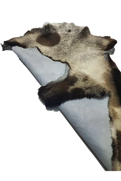 Art Deco '' Hakiki Gerçek Deri Koyun Postu 57x70cm (01) '' Dana İnek Posteki Ev Dekorasyon Fikirleri - Resim 3