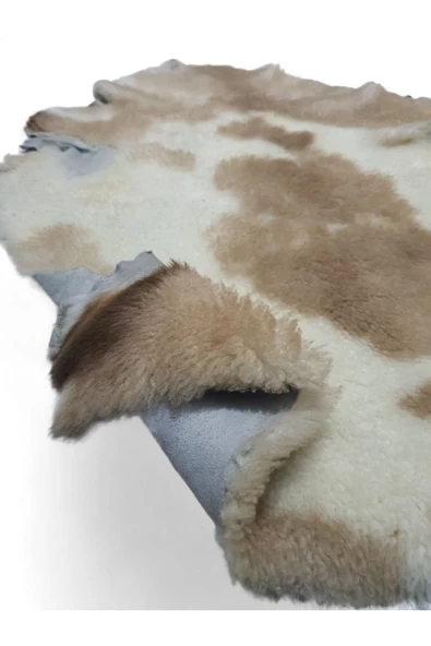 Hakiki Deri 57x70cm (01) Posteki Ev Dekorasyon Fikirleri - 2