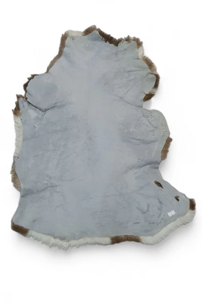 Art Deco Hakiki Deri Koyun Postu 67x70cm (04) Dana Inek Posteki Interior Design - 3