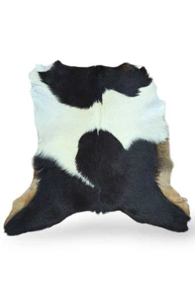 Hakiki Oğlak Deri Post, Gerçek Dana Derisi, Koyun Postu, Ev Dekorasyon Fikirleri, 54x53cm