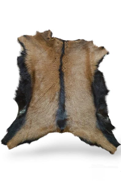 - Art Deco Hakiki Oğlak Gerçek Deri Post, Interior Trend Design, Ev Dekor 47x63cm 0138