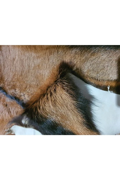 - Art Deco Hakiki Oğlak Gerçek Deri Post, Interior Trend Design, Ev Dekor 47x63cm 0138 - 2