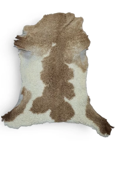 Hakiki Gerçek Deri Koyun Postu 60x67cm (041) Dana Inek Posteki Ev Dekorasyon Fikirleri