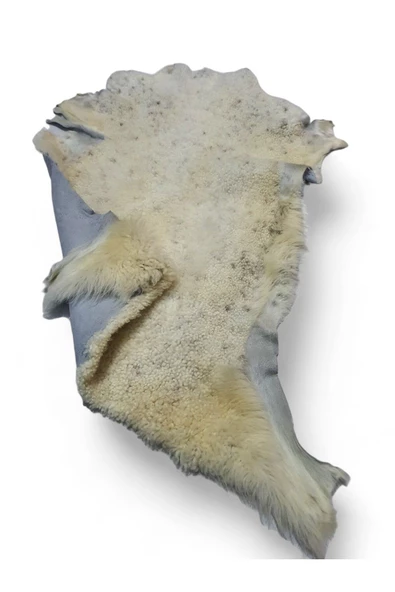 Hakiki Gerçek Deri Koyun Postu 70x69cm (09) Dana Inek Posteki Ev Dekorasyon Fikirleri - 4