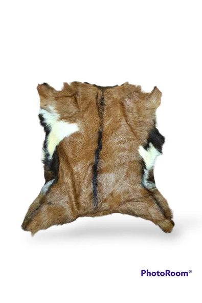 Açılışa Özel %50 Off! Art Deco Hakiki Oğlak Gerçek Deri Post 40x50cm (0158) Luxury Home - 6