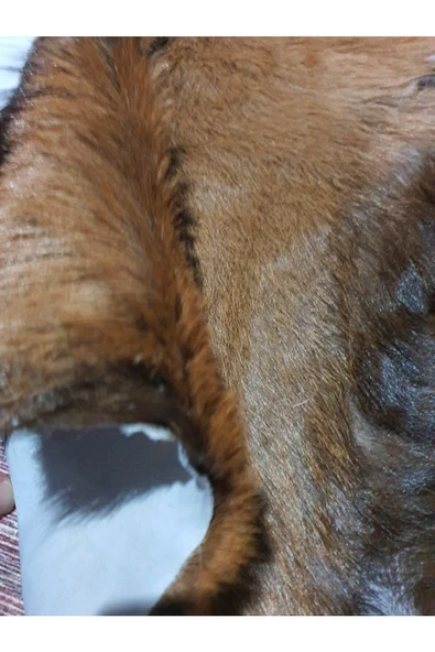 Şok Fiyat Açılışa Özel %50 Off! Hakiki Oğlak Gerçek Deri Post, Interiordesign 46x57cm (0173) - 3