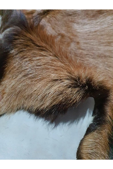 Açılışa Özel %50 Off! Art Deco Hakiki Oğlak Gerçek Deri Post 49x50cm (0150) Luxury Home Decor - 2