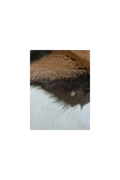 - Art Deco Hakiki Oğlak Gerçek Deri Post, Interiordesign, Ev Dekor 47x59cm [077] - 2