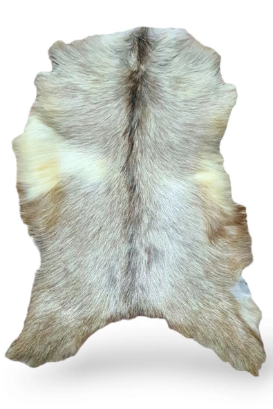 Hakiki Oğlak Deri Post, Gerçek Dana Derisi, Koyun Postu, Ev Dekorasyon Fikirleri, 56x54cm - 4