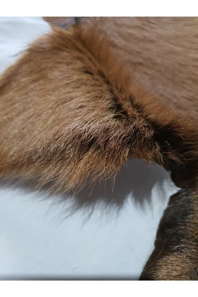 Şok Fiyat Açılışa Özel %50 Inidirim, Hakiki Oğlak Gerçek Deri Post, Interiordesign 44x58cm [0130] - 2