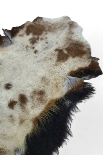 Art Deco Hakiki Deri Gerçek Koyun Postu 61x71cm (096) Posteki Inek Dana Halı Kilim Ev Dekor - 6