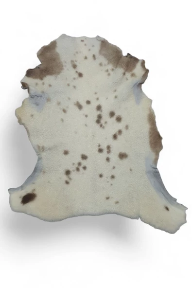 Hakiki Gerçek Deri Koyun Postu 57x70cm (01) '' Dana İnek Posteki Ev Dekorasyon Fikirleri