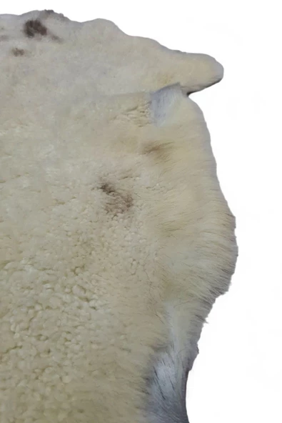 Art Deco Hakiki Deri Koyun Postu 72x67cm (086) Dana Inek Posteki Interior Design - 5