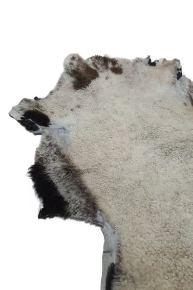 Art Deco Hakiki Deri Koyun Postu 52x66cm (085) Dana Inek Posteki Interior Design - 5