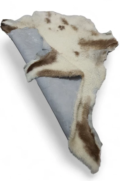 Hakiki Gerçek Deri Koyun Postu 65x68cm (91) '' Dana Inek Posteki Ev Dekorasyon Fikirleri - 3