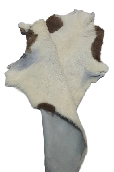 Art Deco Hakiki Deri Koyun Postu 56x68cm (081) Dana Inek Posteki Interior Design - 4