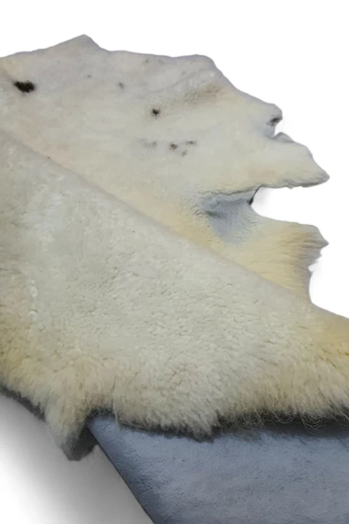 Art Deco Hakiki Deri Gerçek Koyun Postu 63x77cm (092) Posteki Inek Dana Halı Kilim Ev Dekor - 4