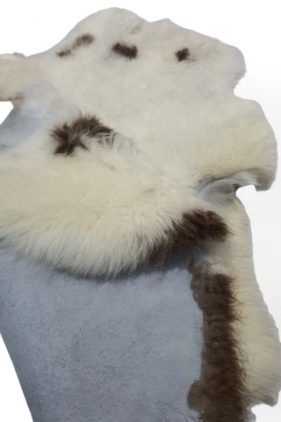 Art Deco Hakiki Gerçek Deri Koyun Postu Toskana 54x75cm (094) Ev Dekorasyon Fikirleri - 3