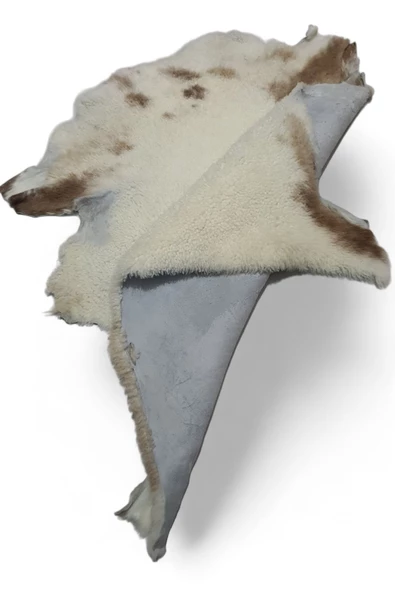 Hakiki Gerçek Deri Koyun Postu 65x68cm (91) '' Dana Inek Posteki Ev Dekorasyon Fikirleri - 4