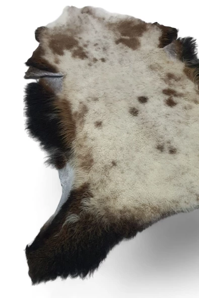 Art Deco Hakiki Deri Gerçek Koyun Postu 61x71cm (096) Posteki Inek Dana Halı Kilim Ev Dekor - 4