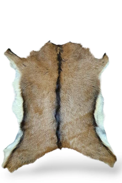 - Art Deco Hakiki Oğlak Gerçek Deri Post, Interiordesign, Ev Dekor 45x62cm [0105] - 8