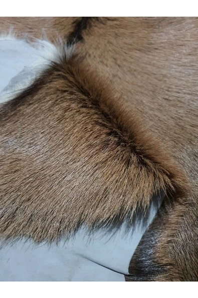 - Art Deco Hakiki Oğlak Gerçek Deri Post, Interiordesign, Ev Dekor 45x62cm [0105] - 2