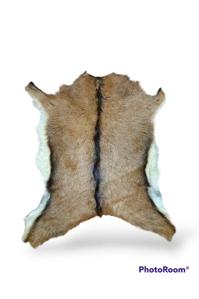 - Art Deco Hakiki Oğlak Gerçek Deri Post, Interiordesign, Ev Dekor 45x62cm [0105]