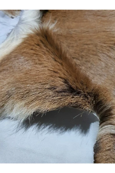 Art Deco Hakiki Oğlak Gerçek Deri Post 48x57cm [0109] Interiordesign Luxury Home Dekor - 2