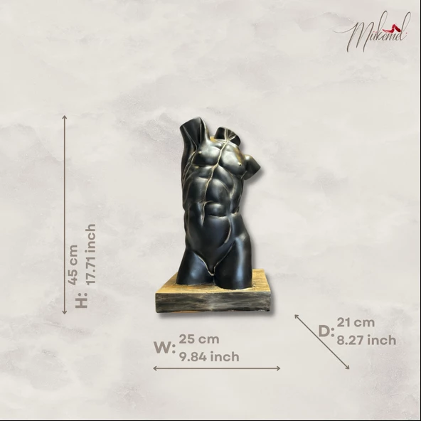 Erkek anatomisi (büst, Yunan sanatı, kas heykeli, vücut geliştirme figürü) Mukemel tasarımları - 2