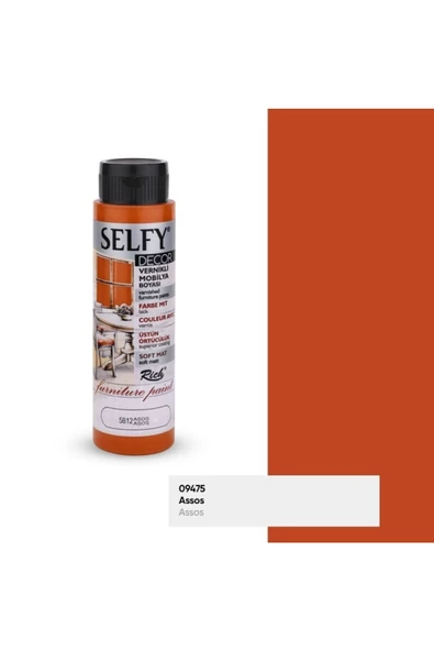 Rich Selfy Decor 500 Cc Asos Kendinden Vernikli Mobilya Boyama Seti - Resim 2