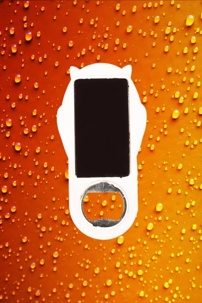 Hindistan Temalı Baykuş Magnet Kapak Açacak - Resim 4