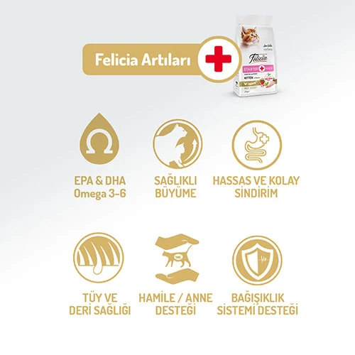 Felicia Hypoallergenic Tavuklu ve Hamsili Düşük Tahıllı Yavru Kedi Maması 12 Kg - Resim 2