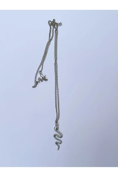 Yılan Snake Hayvan Zincir Kolye PYTKZNKLY225 - Resim 4