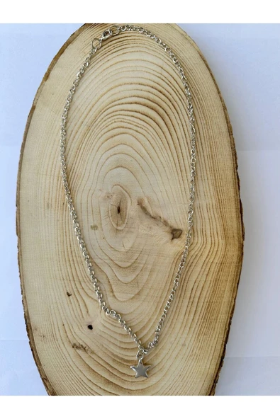 Yıldız Gümüş Rengi Zincir Kolye Unisex Zincir Kolye PYTKZNCKLY244 ürün görseli